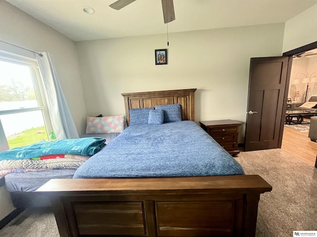 1001 Trail Dr, Valentine, NE 69201 - carpeted bedroom with a ceiling fan