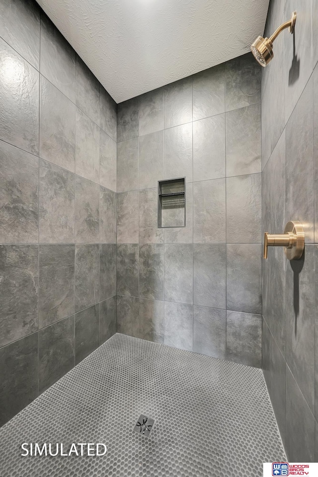 9350 S 86th St, Lincoln, NE 68526 - bathroom with tiled shower