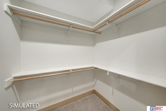9350 S 86th St, Lincoln, NE 68526 - spacious closet with carpet floors