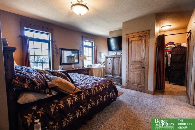 3860 Shady Bend Rd, Grand Island, NE 68801 - bedroom featuring carpet flooring and a spacious closet