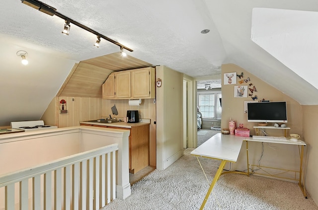 115 N 38th Ave, Omaha, NE 68131 - office space featuring vaulted ceiling, track lighting, light carpet, and a textured ceiling