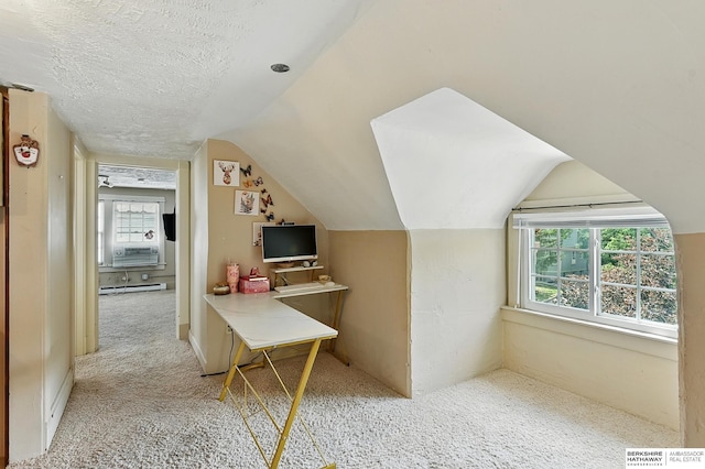 115 N 38th Ave, Omaha, NE 68131 - office featuring a baseboard heating unit, healthy amount of natural light, light colored carpet, lofted ceiling, and cooling unit