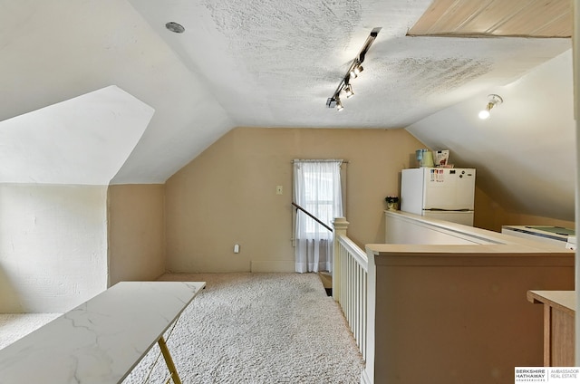 115 N 38th Ave, Omaha, NE 68131 - additional living space with vaulted ceiling, carpet, and a textured ceiling