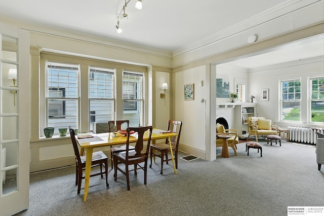 115 N 38th Ave, Omaha, NE 68131 - dining area featuring radiator heating unit, carpet, and ornamental molding
