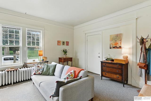 115 N 38th Ave, Omaha, NE 68131 - living room with radiator, carpet floors, and ornamental molding