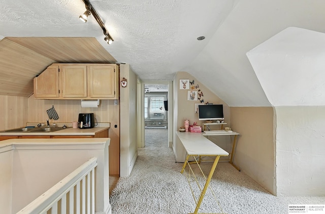 115 N 38th Ave, Omaha, NE 68131 - kitchen with light brown cabinetry, lofted ceiling, track lighting, light countertops, and a textured ceiling