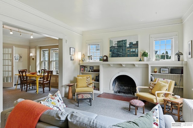 115 N 38th Ave, Omaha, NE 68131 - carpeted living room with ornamental molding, a brick fireplace, and track lighting