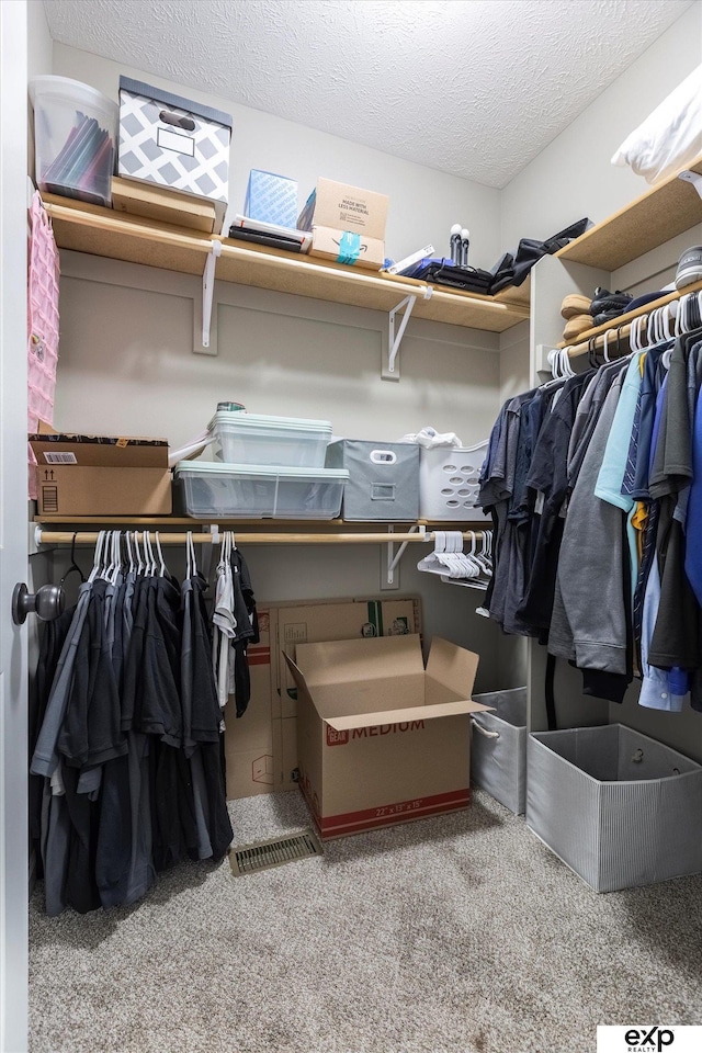 5614 N 177th St, Omaha, NE 68116 - walk in closet with carpet flooring