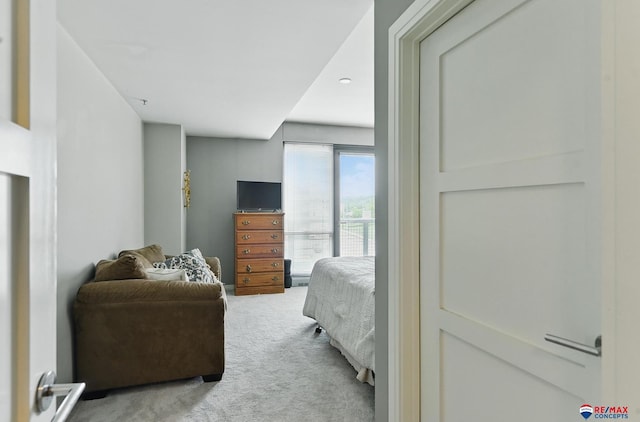 3201 Dodge Ct Unit 5412, Omaha, NE 68131 - bedroom with light colored carpet