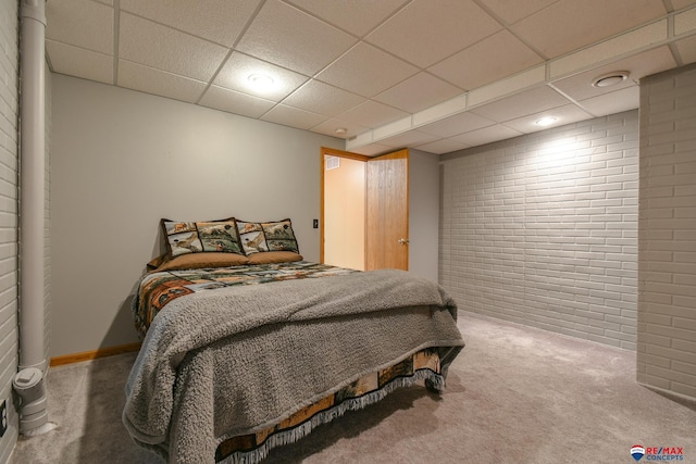 1405 Euclid St, Ashland, NE 68003 - bedroom with carpet and a paneled ceiling