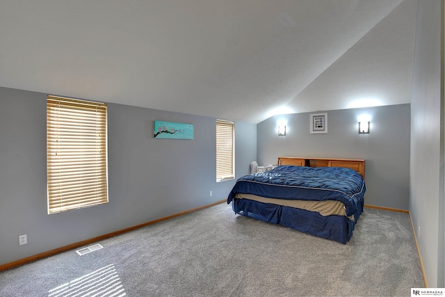 10419 N 150th St, Bennington, NE 68007 - bedroom featuring carpet floors, vaulted ceiling, and baseboards