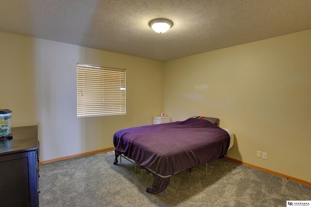 10419 N 150th St, Bennington, NE 68007 - bedroom featuring carpet floors, baseboards, and a textured ceiling