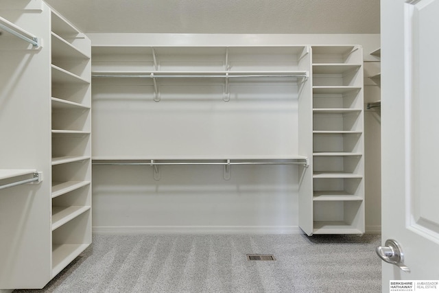 19252 Shirley St, Omaha, NE 68130 - walk in closet with carpet
