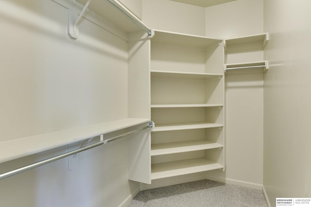 19252 Shirley St, Omaha, NE 68130 - walk in closet with carpet