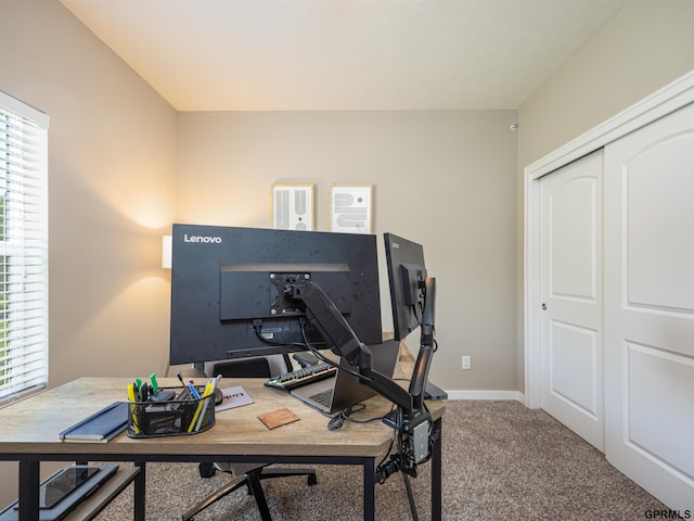 15218 Vane St, Bennington, NE 68007 - home office with plenty of natural light and carpet floors