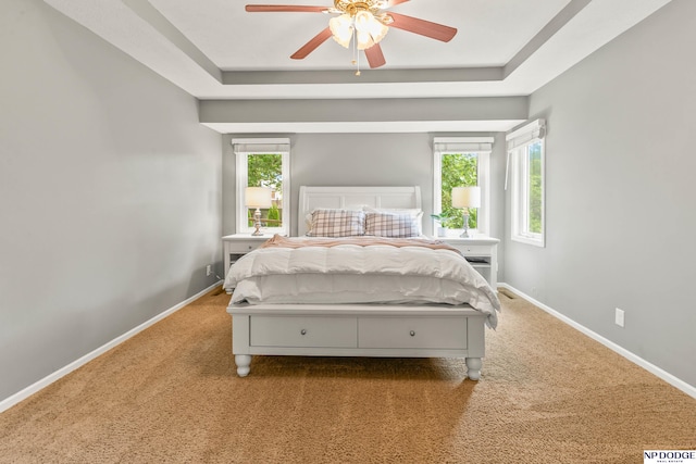 17310 I St, Omaha, NE 68135 - carpeted bedroom with baseboards, a raised ceiling, and a ceiling fan
