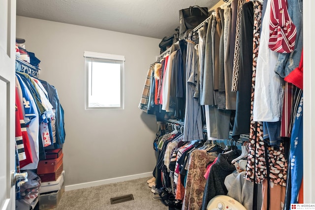 7775 N 149th St, Bennington, NE 68007 - walk in closet with carpet floors
