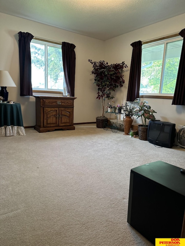 802 Main St, Bancroft, NE 68004 - living area featuring carpet flooring and plenty of natural light