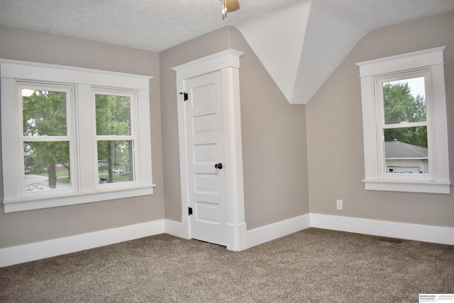 116 8th St, Scribner, NE 68057 - additional living space with carpet flooring and baseboards