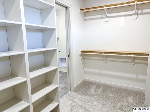 17010 Daniel St, Bennington, NE 68007 - walk in closet featuring carpet floors