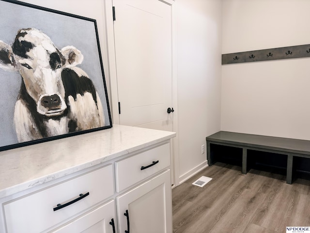 17010 Daniel St, Bennington, NE 68007 - mudroom featuring light wood finished floors and baseboards