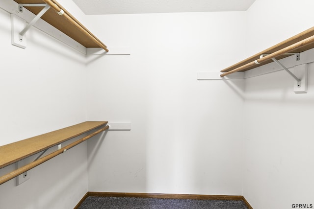10103 S 11th St, Bellevue, NE 68123 - walk in closet featuring carpet flooring
