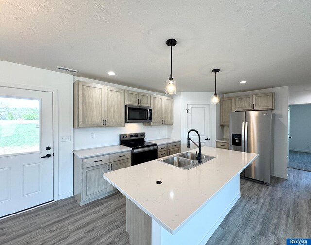 929 S Columbia Ave, Seward, NE 68434 - kitchen with appliances with stainless steel finishes, a sink, light wood-type flooring, recessed lighting, and light countertops