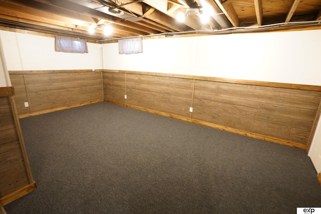 5433 N 45th Ave, Omaha, NE 68104 - finished basement featuring carpet floors and wood walls