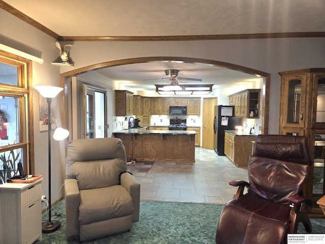 2205 Hidden Canyon Rd, Plattsmouth, NE 68048 - living area with arched walkways, a ceiling fan, and crown molding