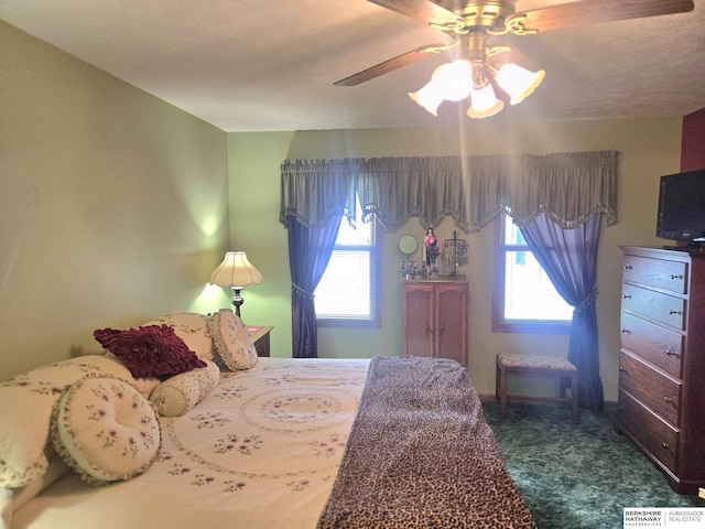 2205 Hidden Canyon Rd, Plattsmouth, NE 68048 - bedroom featuring dark carpet and a ceiling fan