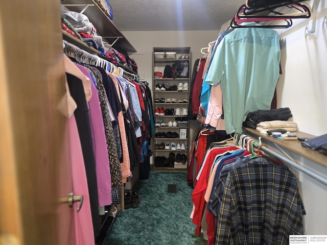 2205 Hidden Canyon Rd, Plattsmouth, NE 68048 - spacious closet with carpet floors