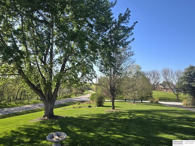 2205 Hidden Canyon Rd, Plattsmouth, NE 68048 - view of green lawn