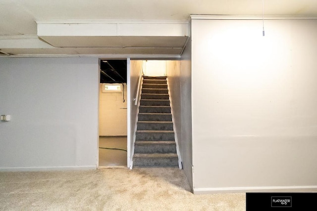 4518 Redick Ave, Omaha, NE 68152 - finished below grade area featuring carpet floors, stairs, and baseboards