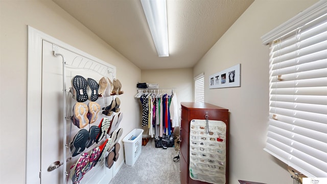1609 N 208th St, Elkhorn, NE 68022 - walk in closet with carpet floors