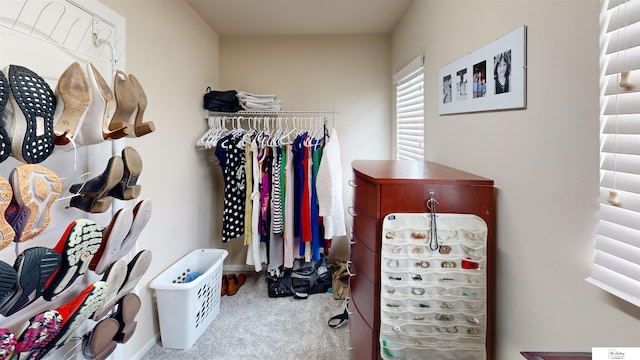 1609 N 208th St, Elkhorn, NE 68022 - walk in closet with carpet