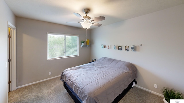 1609 N 208th St, Elkhorn, NE 68022 - bedroom featuring carpet flooring, baseboards, and a ceiling fan