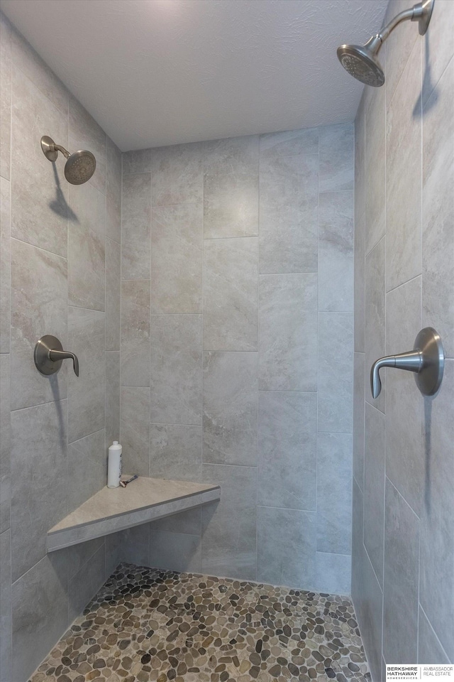 2203 N 188th Ave, Elkhorn, NE 68022 - full bathroom featuring a tile shower