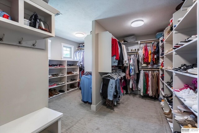 2203 N 188th Ave, Elkhorn, NE 68022 - walk in closet with carpet