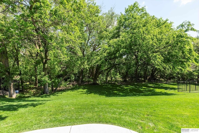 2203 N 188th Ave, Elkhorn, NE 68022 - view of yard