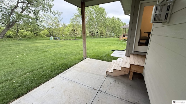 12667 161st Ave, Bennington, NE 68007 - view of green lawn featuring a patio