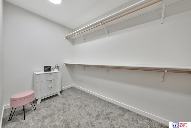 350 N 105th St, Lincoln, NE 68527 - walk in closet featuring carpet floors