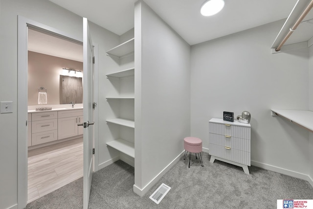 350 N 105th St, Lincoln, NE 68527 - walk in closet featuring light carpet and a sink