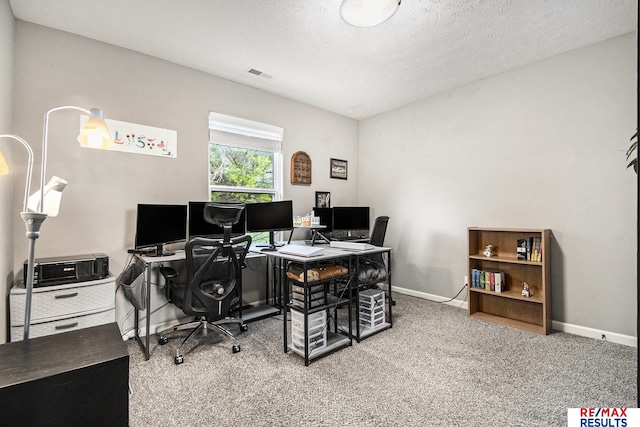 10202 N 152nd Ave, Bennington, NE 68007 - home office with baseboards, carpet, and a textured ceiling
