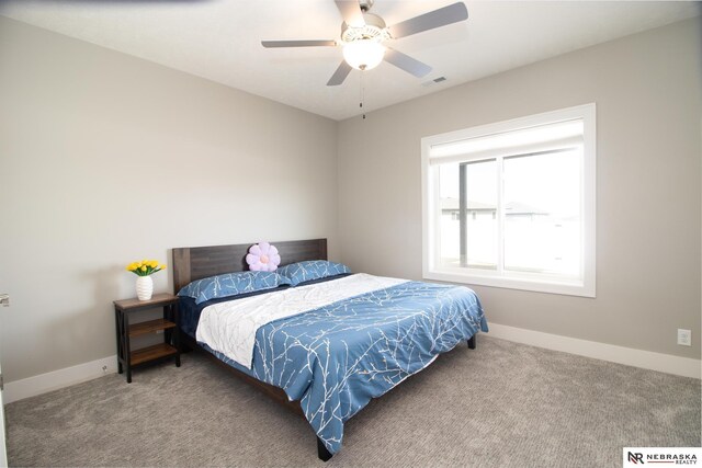 7316 Gerald Ave, Lincoln, NE 68516 - bedroom with carpet flooring, baseboards, and ceiling fan