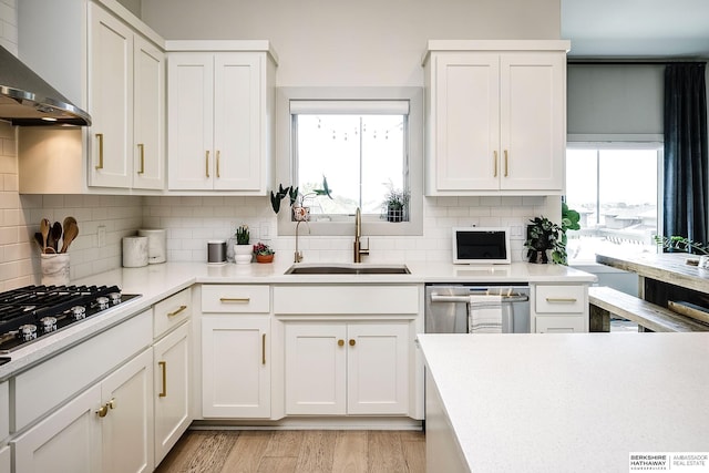 1611 S 208th St, Omaha, NE 68022 - kitchen with a sink, wall chimney exhaust hood, and white cabinets