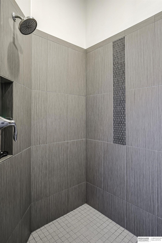 1611 S 208th St, Omaha, NE 68022 - full bath featuring tiled shower