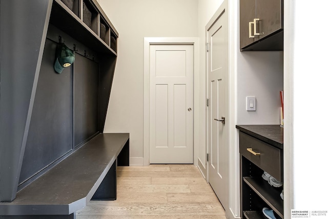 1611 S 208th St, Omaha, NE 68022 - mudroom featuring light wood finished floors and baseboards