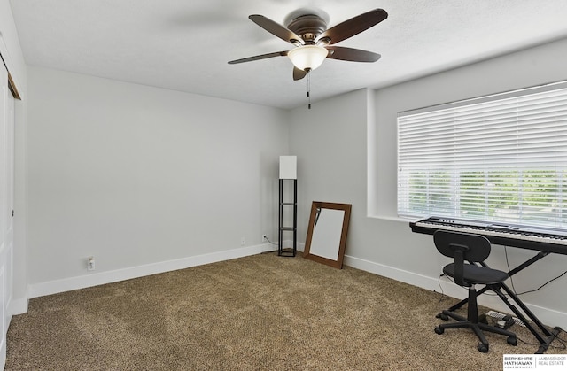 5135 N 159th Cir, Omaha, NE 68116 - office featuring carpet flooring, a ceiling fan, and baseboards