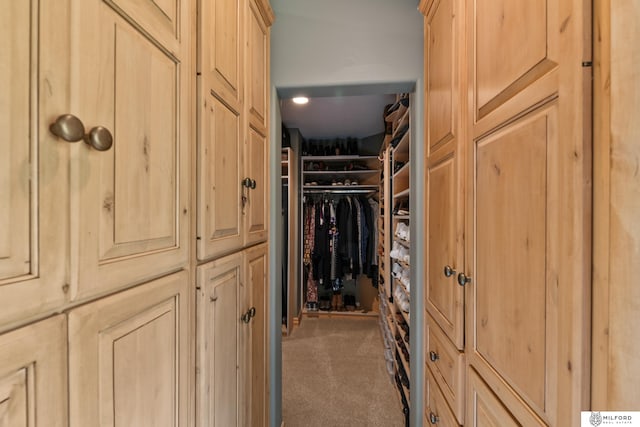 4725 S 184th Plz, Omaha, NE 68135 - walk in closet featuring carpet flooring