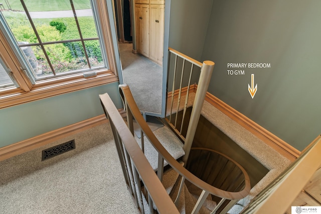 4725 S 184th Plz, Omaha, NE 68135 - stairway with carpet